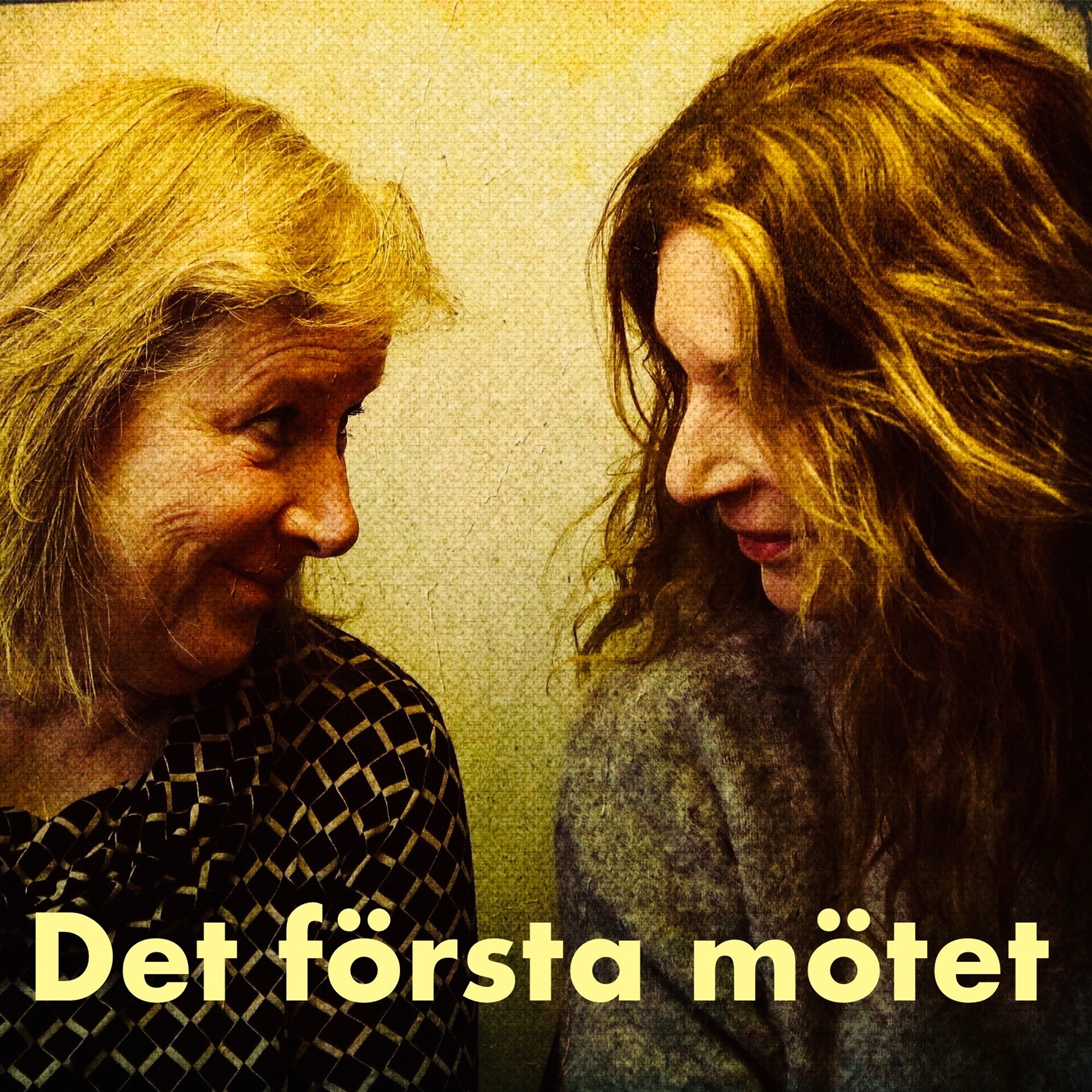 Psykoterapeuter pratar på