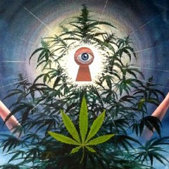 Hi Focus MagniTude prod by ESKRY