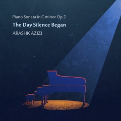 Piano Sonata in C minor, op.2 "the day silence began": III. Andantino "for bewilderment"