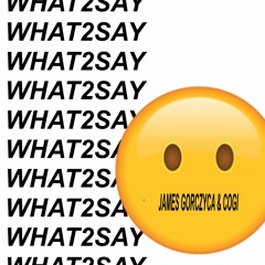 WHAT2SAY (FEAT. COGI) [PROD. LC2K]