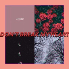 Don't Break My Heart