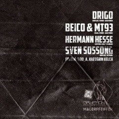 Hermann Hesse @ Mauerpfeiffer Saarbrücken w/ Beico&MT93, DRIGO, Sven Sossong (techno/live-rec)