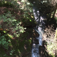 Big house Small house