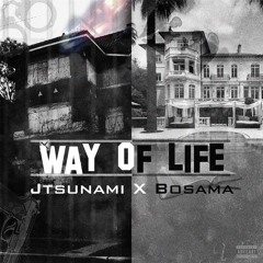 Way Of Life
