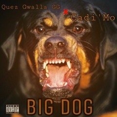 Big Dog  W/  Quez Gwalla GG