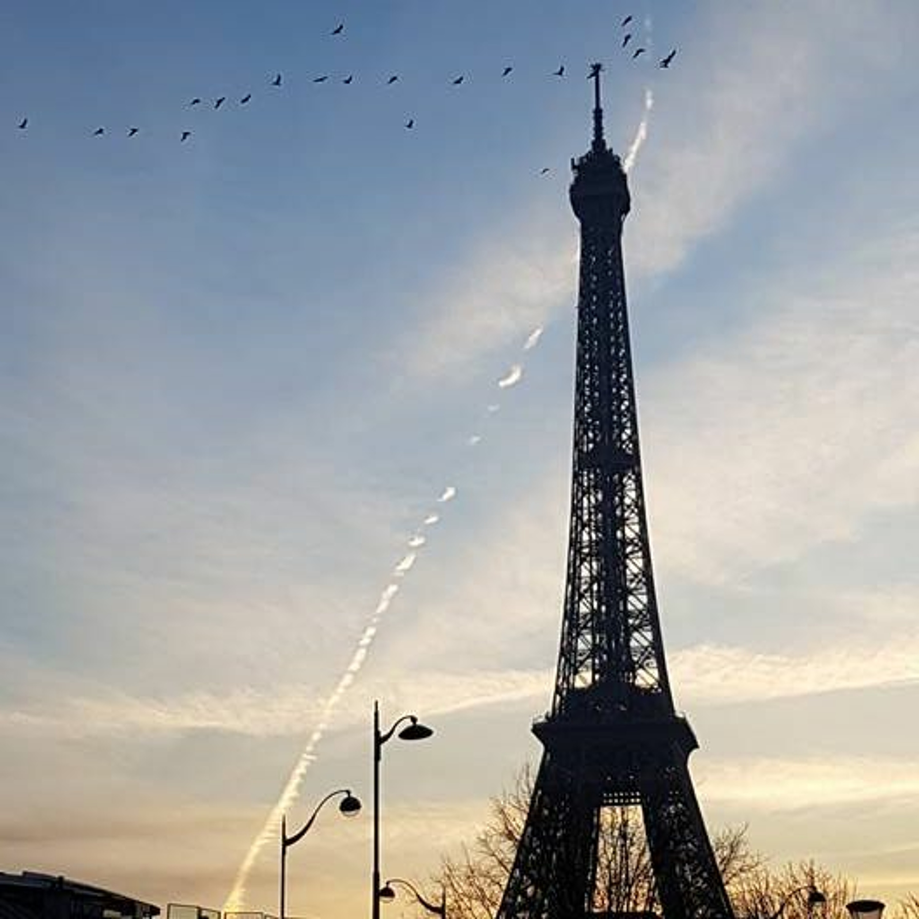 Paris Palace episode artwork