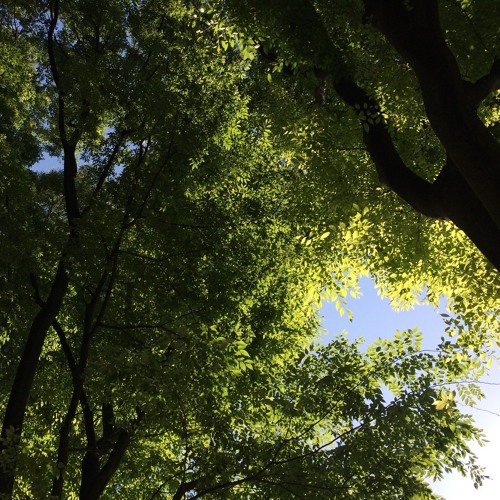 Flex Life - 夢を慕いて (Dub & Adds by Kaoru Inoue)
