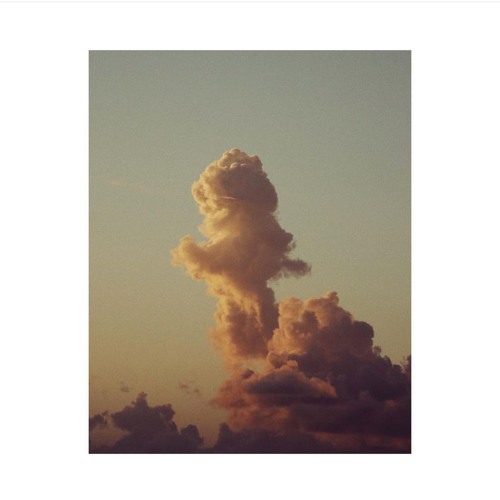 Dreamin ...  [dexter x ®ojah x Salva]