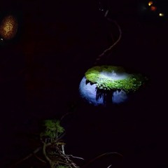 beyond the quietness