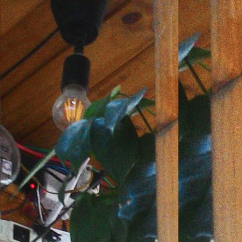 mấy bản nhạc lạ đời vô cùng luôn