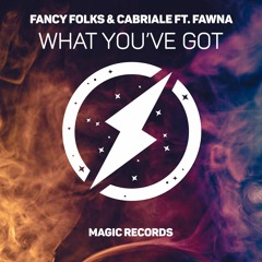 Fancy Folks & Cabriale Ft. Fawna -  What You've Got