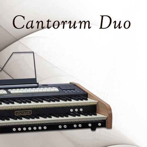 Viscount andante digital piano deals