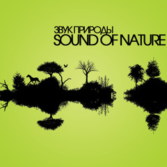 Ханг драм_Шум дождя