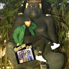 Tribute to Gonondo - world jams mix