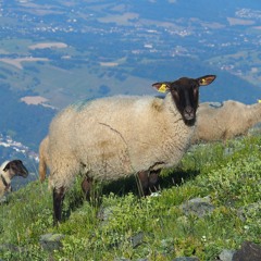 De Retour (92.2)(32)