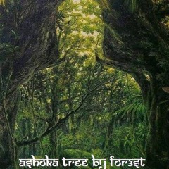 Ashoka Tree