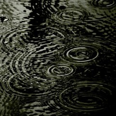 RainDrop city