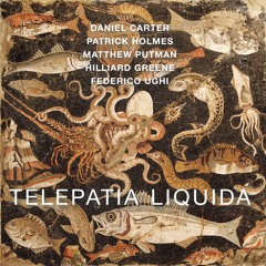 Deluxe Light radio edit (from album Telepatia Liquida)