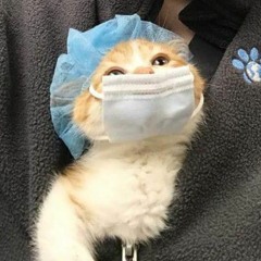 CIFIKA 말하려고 했던 말 short cover