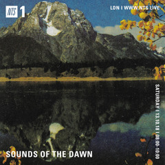 Sounds of the Dawn NTS Radio October 13th 2018