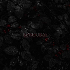 Bermudai