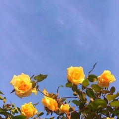 芮恩 - 討厭