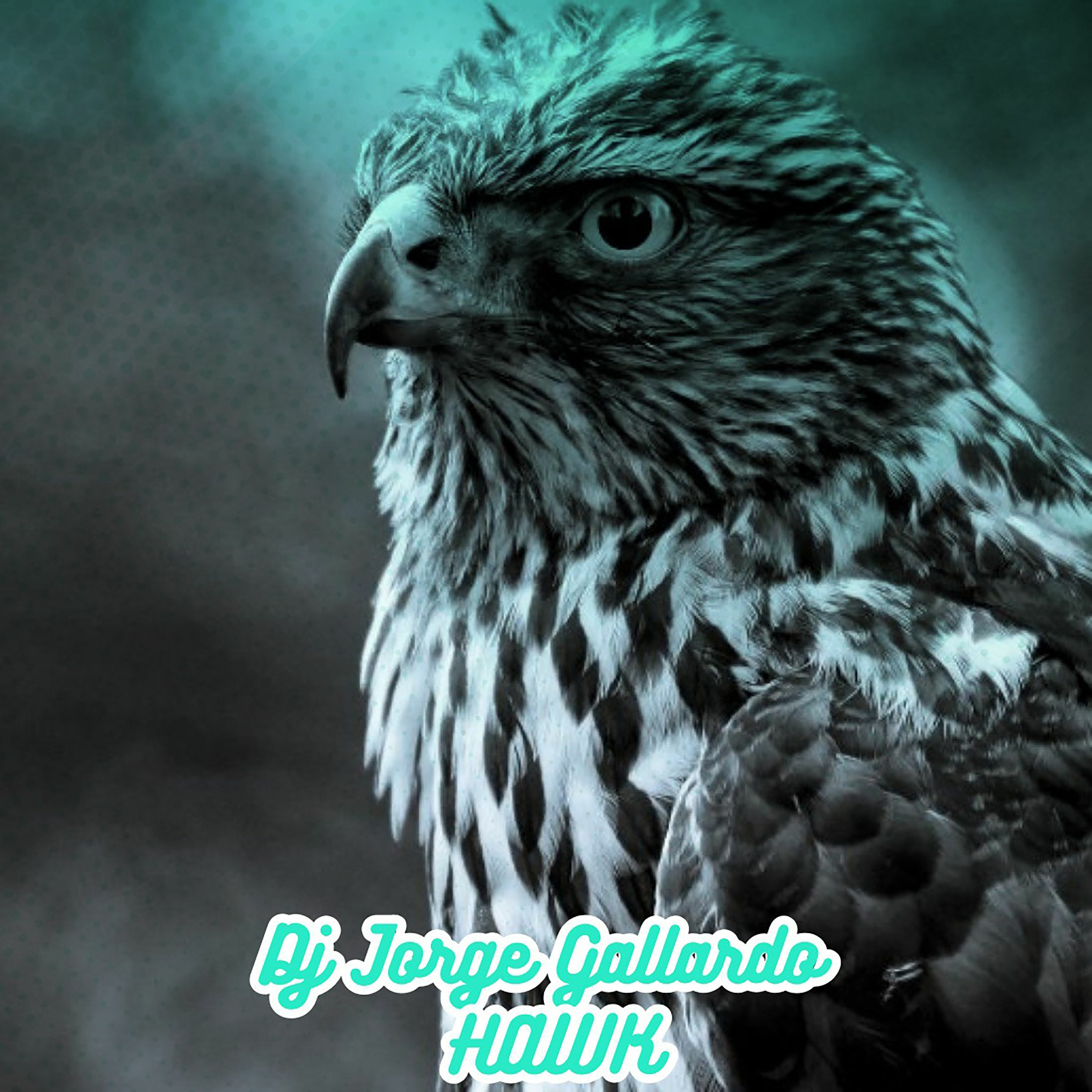 13 - Hawk (Club Mix)