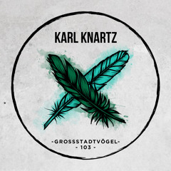 Karl Knartz - Grossstadtvögel Podcast 103