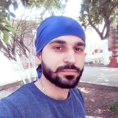 Feel   surjit bhullar