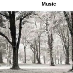 Beautiful Version Of Auld Lang Syne