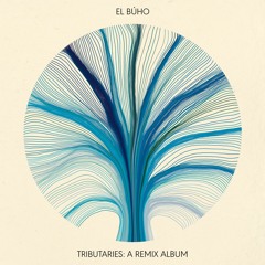 Grupo Canalon De Timbiqui - Camino Largo (El Búho Remix)