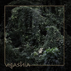 Ugashia
