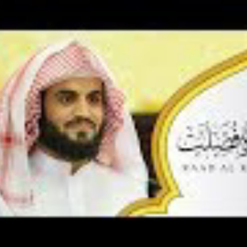 قراءة هادئة لسورة فصلت كاملة | رعد محمد الكردي
