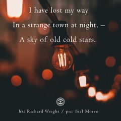 halF losT [naviarhaiku251]