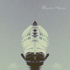 Bami Hami