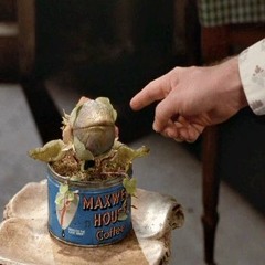 Feed Me Seymour