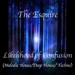 Likelihood of Confusion