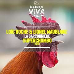 Loïc Roche, Lionel Maublanc - La Garçonnière (Superchumbo Remix)