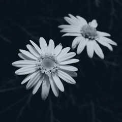 (november-notes)