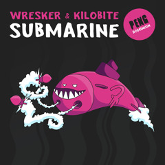 Wresker & Kilobite - One Night [Premiere]
