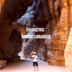 Faunethic sound library collection