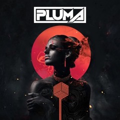 Defunk - Can't Buy Me (Pluma Remix)