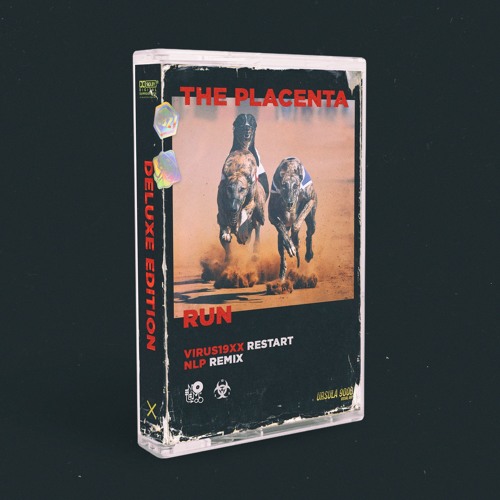 The Placenta - Run (Virus19xx restart)