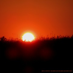 Фото и напитки - Вспомни меня - забудь меня