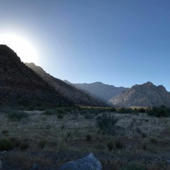 Shadows - Prod. TaylorMade