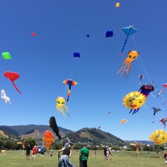 Kite Life