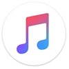 Cardi B Money Mp3