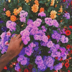 tyler, the creator - parfait(featuring kali uchis and austin feinstein(slowed+reverb)