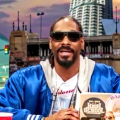 Snoop Dogg - Cold Cuzzin Ft. Maroon 5 (AReO Remix)