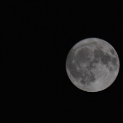 PLEASE LOVE ME (FEAT. A.CHA.P)